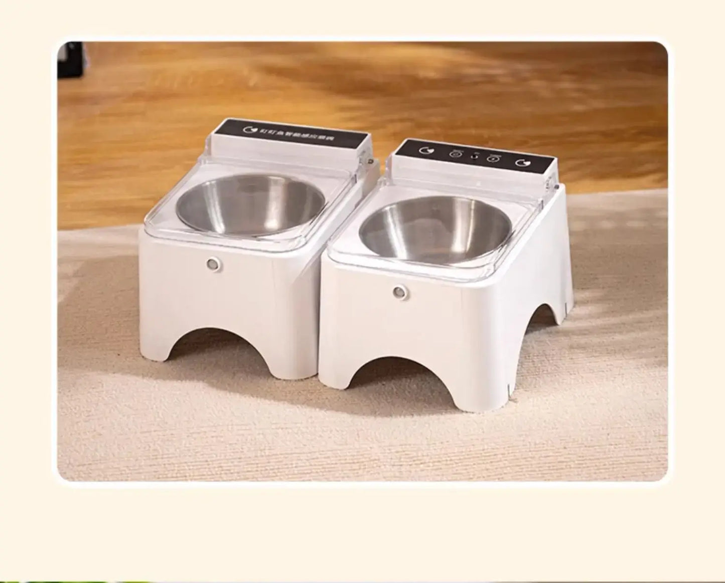 Automatic Cat Feeder with Sensor