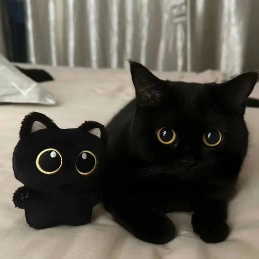 2Pcs Cute Black Cat Plush Keychains 10cm