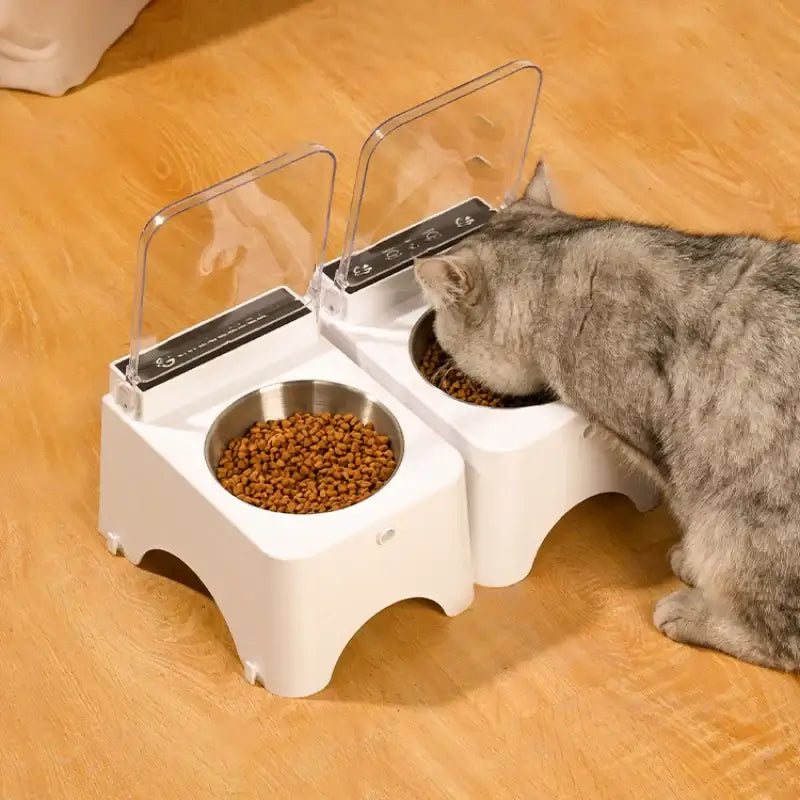 Automatic Cat Feeder with Sensor